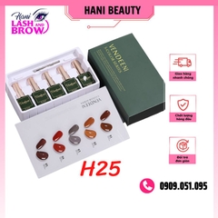 Set Sơn 5 Màu Vendeeni - H25