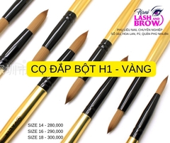 CỌ ĐĂP BỘT VÀNG  (18m)