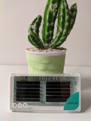 MI SMART-FAN (AUTO FAN) DÀNH CHO THỢ KHÔNG BIẾT TẠO FAN