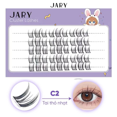 Lông mi cụm tự nhiên Jary hộp nhựa 5 hàng - C2 Tai thỏ nhạt