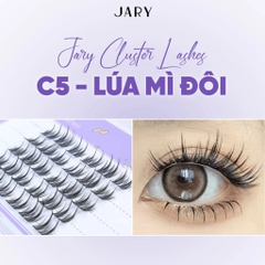 Lông mi cụm tự nhiên Jary Cluster Lashes  - hộp nhựa 5 hàng - mi giả chính hãng - daothinhuquynh