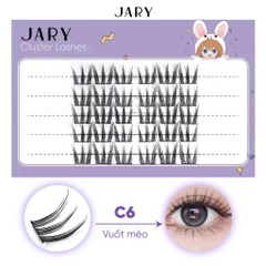 Lông mi cụm tự nhiên Jary Cluster Lashes  - hộp nhựa 5 hàng - mi giả chính hãng - daothinhuquynh