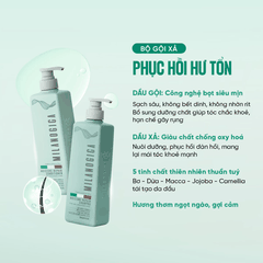 Combo dầu gội dầu xả hương nước hoa Milanogica Moisture Repair - phục hồi hư tổn, kích mọc tóc 725ml