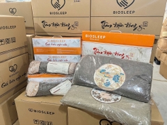 Gối điện ngải cứu BIOSLEEP (46*17*9)cm