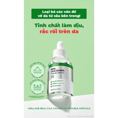 Tinh Chất Wellage Real CICA CALMING 95 Trouble Ampoule 50ml