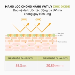 Kem chống nắng kiềm dầu dưỡng ẩm RoundLab Birch Juice Mild-Up Sunscreenn - Round Lab Sun cream 50ml