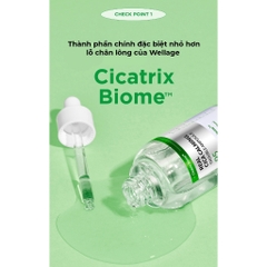 Tinh Chất Wellage Real CICA CALMING 95 Trouble Ampoule 50ml