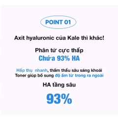 Nước hoa hồng Wellage Real Hyaluronic Toner 100 cấp ẩm dịu da giúp da mềm mại và căng bóng 200ml