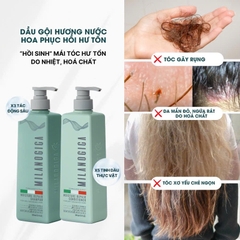Combo dầu gội dầu xả hương nước hoa Milanogica Moisture Repair - phục hồi hư tổn, kích mọc tóc 725ml