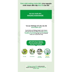 Tinh Chất Wellage Real CICA CALMING 95 Trouble Ampoule 50ml