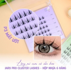 Lông mi cụm có sẵn keo Jary Pro Cluster Lashes - Hộp nhựa 6 hàng Full Box - mi giả jary chính hãng