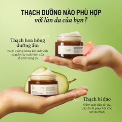 Kem dưỡng ẩm dạng thạch Cocoon cấp ẩm, ngừa mụn, sáng da từ Bí đao, Hoa hồng, Nghệ Hưng Yên 30ml- 100ml