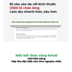 Tinh Chất Wellage Real CICA CALMING 95 Trouble Ampoule 50ml