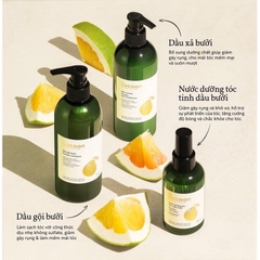 Set dầu gội xả bưởi Cocoon giảm rụng & kích thích mọc tóc 310ml- 500ml - không chứa sulfate nhãn mới