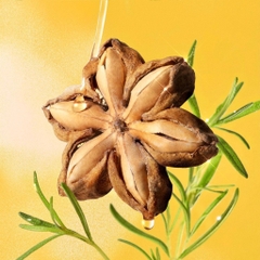 Nước Xịt Dưỡng Tóc Sachi Cocoon Giúp Cấp Ẩm Mềm Mượt Tóc - Phục Hồi Hư Tổn 140ml
