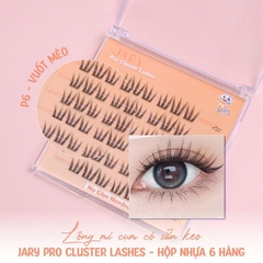 Lông mi cụm có sẵn keo Jary Pro Cluster Lashes - Hộp nhựa 6 hàng Full Box - mi giả jary chính hãng