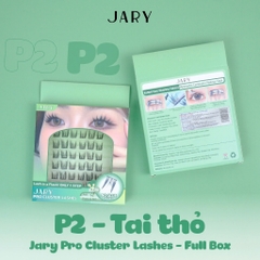 Lông mi cụm có sẵn keo Jary Pro Cluster Lashes - Hộp nhựa 6 hàng Full Box - mi giả jary chính hãng