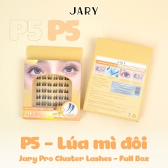 Lông mi cụm có sẵn keo Jary Pro Cluster Lashes - Hộp nhựa 6 hàng Full Box - mi giả jary chính hãng