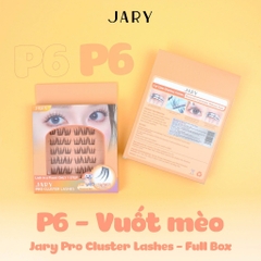 Lông mi cụm có sẵn keo Jary Pro Cluster Lashes - Hộp nhựa 6 hàng Full Box - mi giả jary chính hãng