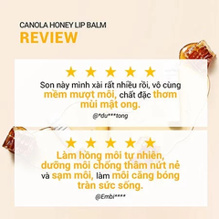 Son dưỡng Innisfree Canola Honey Lip Balm - son dưỡng ẩm mật ong không màu Innisfree 3.5g cao cấp