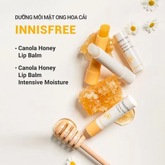 Son dưỡng Innisfree Canola Honey Lip Balm - son dưỡng ẩm mật ong không màu Innisfree 3.5g cao cấp