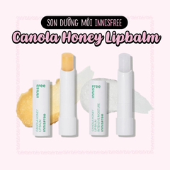 Son dưỡng Innisfree Canola Honey Lip Balm - son dưỡng ẩm mật ong không màu Innisfree 3.5g cao cấp