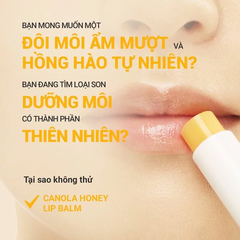Son dưỡng Innisfree Canola Honey Lip Balm - son dưỡng ẩm mật ong không màu Innisfree 3.5g cao cấp