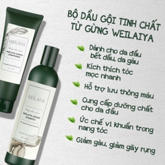 Bộ dầu gội xả gừng Weilaiya giảm rụng tóc, kích mọc tóc, phục hồi tóc khô xơ, hư tổn Hàng Chính Hãng