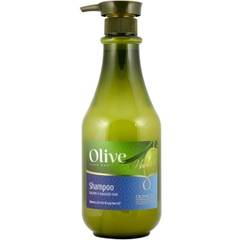 Set Dầu Gội Xả Frulatte olive Spa Pharma kích thích mọc tóc và phục hồi tóc dành cho tóc khô và hư tổn 800ml chuẩn salon