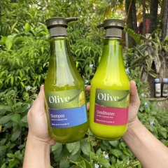 Set Dầu Gội Xả Frulatte olive Spa Pharma kích thích mọc tóc và phục hồi tóc dành cho tóc khô và hư tổn 800ml chuẩn salon