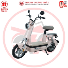 Xe đạp điện ESPERO Be Joy