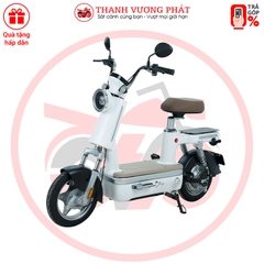 Xe đạp điện ESPERO Be Joy