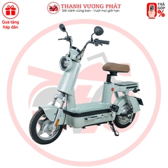 Xe đạp điện ESPERO Be Joy