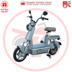 Xe đạp điện ESPERO Be Joy