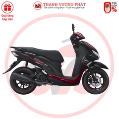 FreeGo S 2025 – Phiên bản Đặc biệt