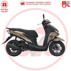 FreeGo S 2025 – Phiên bản Đặc biệt