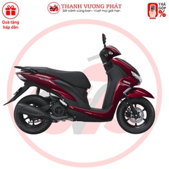 FreeGo 2025 – Phiên bản Tiêu chuẩn