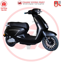 XE MÁY ĐIỆN VICTORIA V89