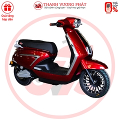 XE MÁY ĐIỆN VICTORIA V89