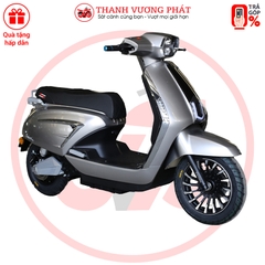 XE MÁY ĐIỆN VICTORIA V89