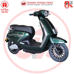 XE MÁY ĐIỆN VICTORIA V89