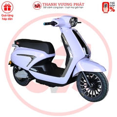 XE MÁY ĐIỆN VICTORIA V89