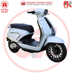 XE MÁY ĐIỆN VICTORIA V89