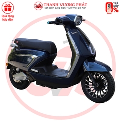 XE MÁY ĐIỆN VICTORIA V89