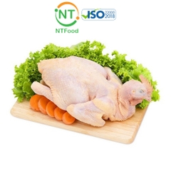 Gà ta (trống) thả vườn nguyên con Minh Dư NTFood size 2.1 - 2.5 kg