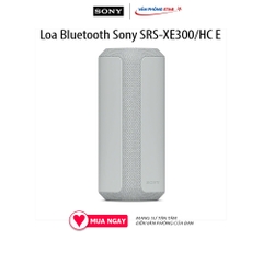 Loa Bluetooth Sony SRS-XE300/HC E - Tần số phản hồi 20 Hz - 20.000 Hz - Kết nối USB Type-C - Chống nước IP67