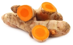 Nghệ tươi