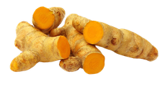 Nghệ tươi