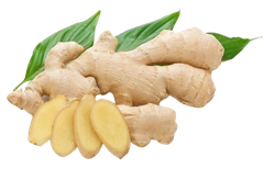 Gừng tươi