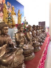 Các mẫu tượng Phật